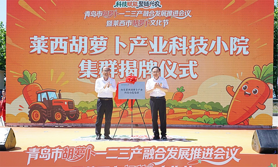 学校与莱西市政府联合举办青岛市胡萝卜一二三产融合发展推进会议暨胡萝卜产业科技小院集群揭牌仪式